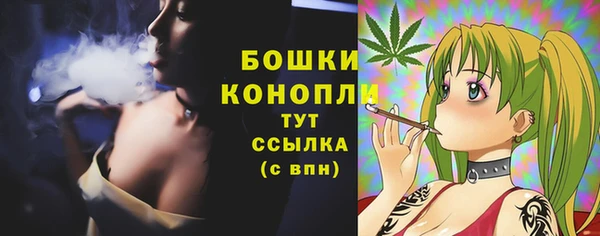 PSILOCYBIN Богданович